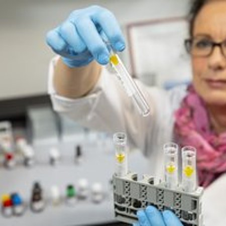 DIAKO Labormitarbeiterin stellt Reagenzglas in Halterung